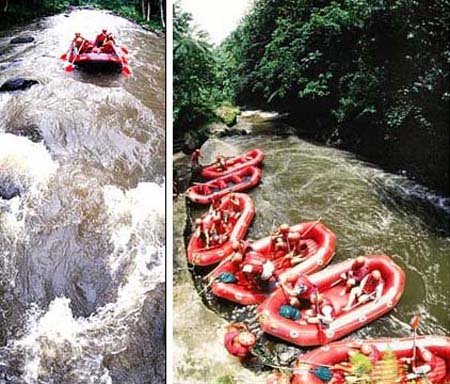 Ayung River Rafting Ayung River Rafting