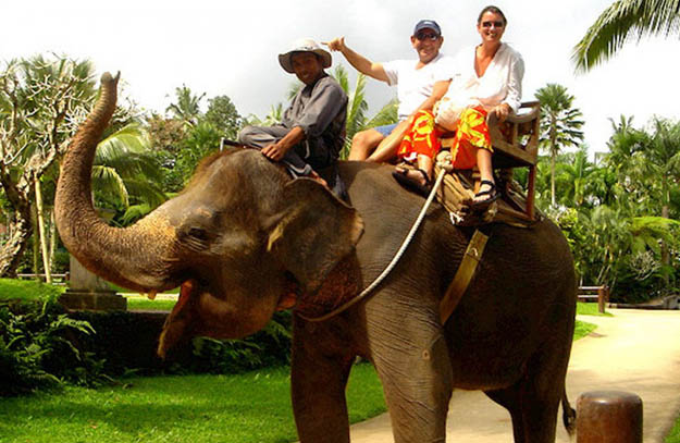 Bakas - Bali Elephant Riding Bakas - Bali Elephant Riding