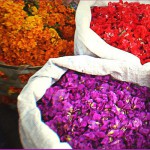 A flower for God offerings